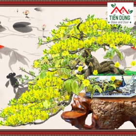 TRANH KÍNH TẾT DECOR